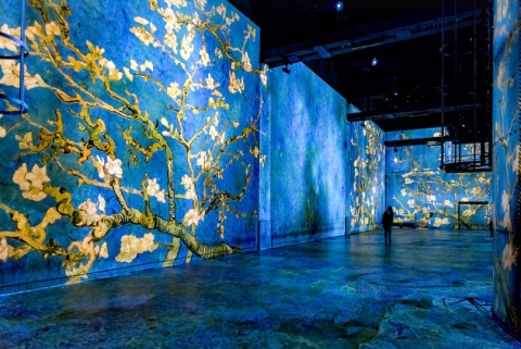 Van gogh store atelier lumières