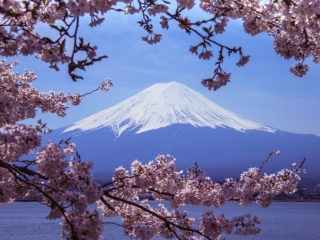 Mont FUji