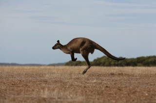 southern ocean lodge